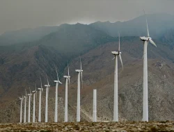 Potensi Energi Angin di Pesisir: Mendorong Pembangunan Berkelanjutan yang Ramah Lingkungan