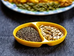 Makanan Bergizi dari Kacang-Kacangan: Pilihan Camilan Sehat untuk Tubuh