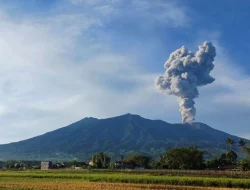 Gunung Merapi Sumbar Erupsi