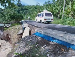 Ruas Jalan Provinsi di Cukuh Balak Ambruk Parah