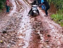 Prihatin! Warga Minta Perbaikan Akses Jalan di Desa Penangkulan