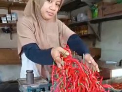 Akhir Tahun 2025, Harga Cabai Melambung