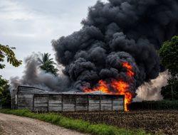Gudang Penyimpanan BBM di Pesawaran Terbakar Hebat